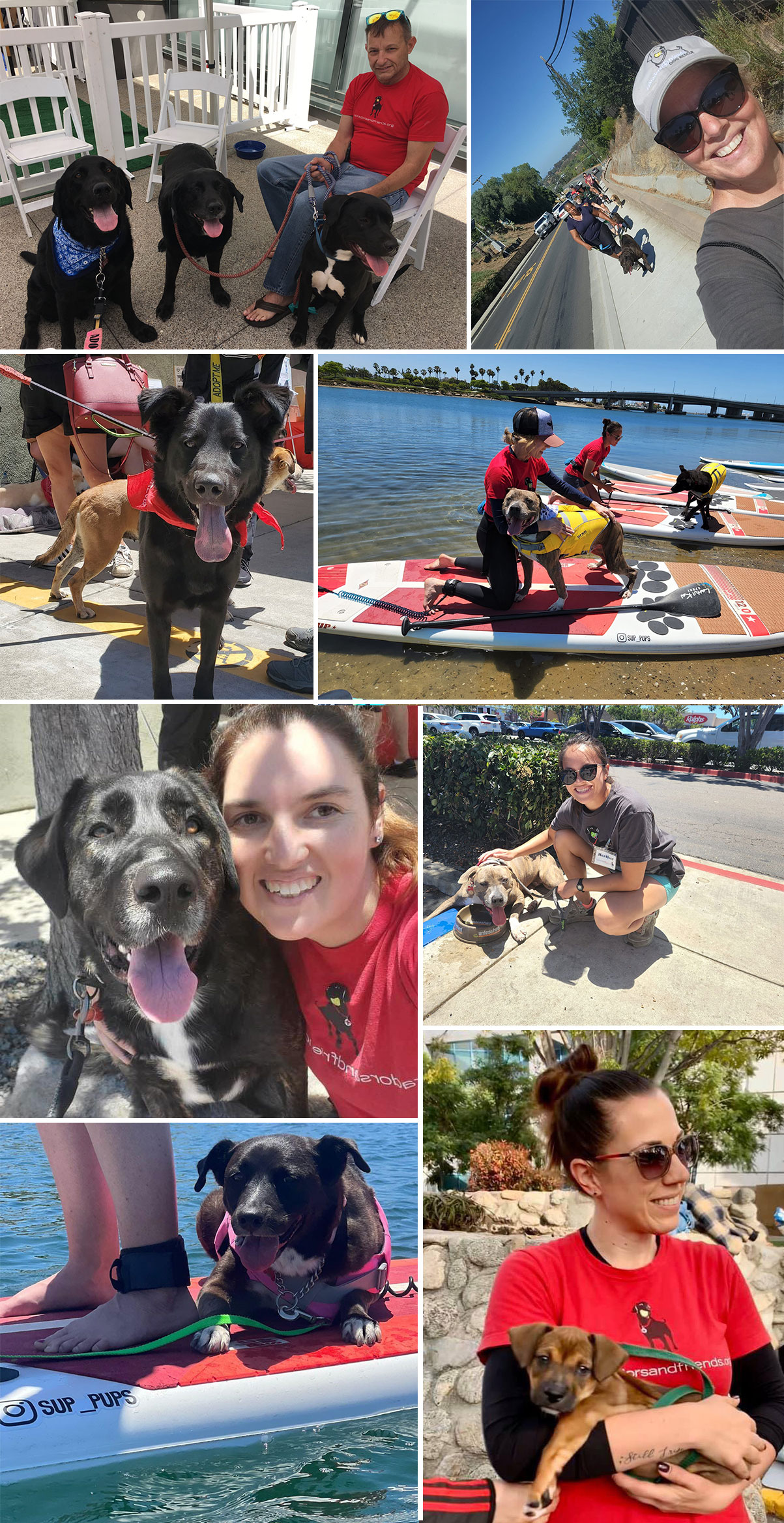 collage of event photos containing both dogs and people