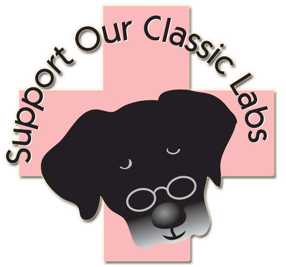 logo for the
                            agnes fund
