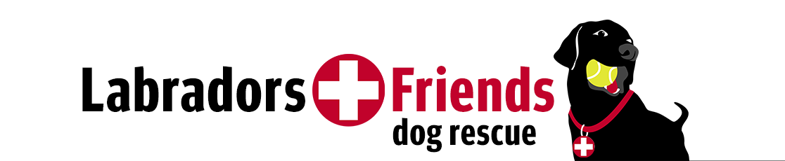 Labradors and Friends dog rescue, site banner with black dog